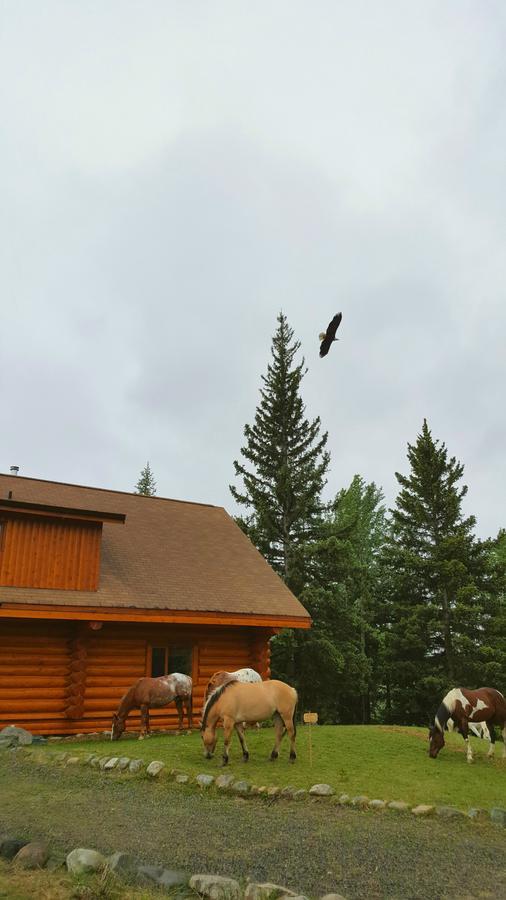 Bed and Breakfast Wettstone Guest Ranch Bridge Lake Exteriér fotografie
