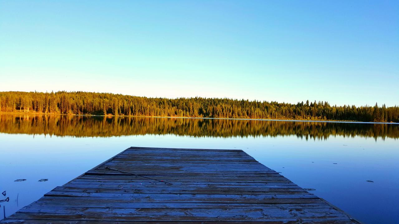 Bed and Breakfast Wettstone Guest Ranch Bridge Lake Exteriér fotografie