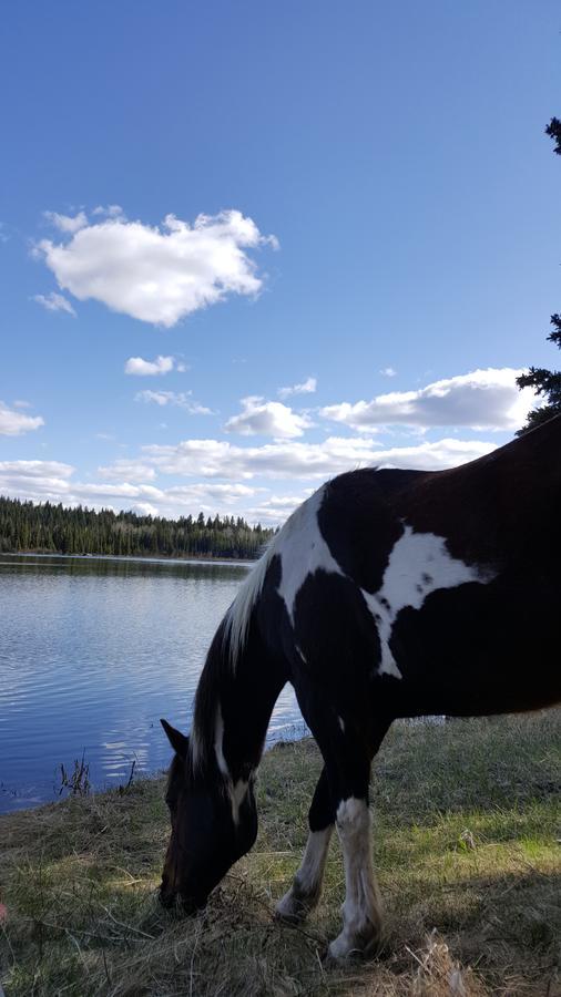 Bed and Breakfast Wettstone Guest Ranch Bridge Lake Exteriér fotografie