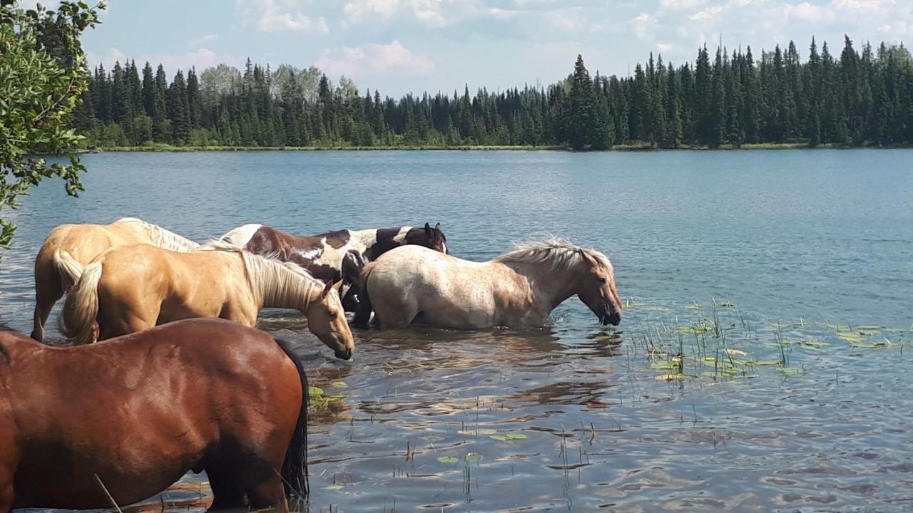 Bed and Breakfast Wettstone Guest Ranch Bridge Lake Exteriér fotografie
